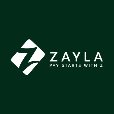 Zayla Partners Pay Equity Consulting